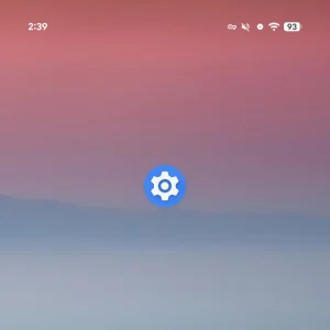 Android 17 QPR1 Beta 6 Settings icon 1 1